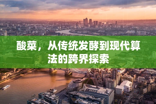 酸菜，从传统发酵到现代算法的跨界探索