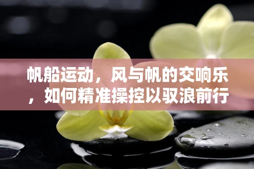 帆船运动，风与帆的交响乐，如何精准操控以驭浪前行？