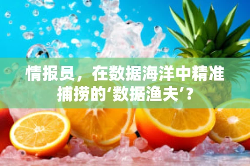 情报员，在数据海洋中精准捕捞的‘数据渔夫’？