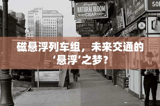 磁悬浮列车组，未来交通的‘悬浮’之梦？
