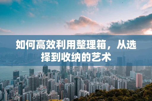 如何高效利用整理箱，从选择到收纳的艺术
