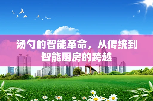汤勺的智能革命，从传统到智能厨房的跨越