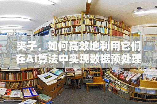 夹子，如何高效地利用它们在AI算法中实现数据预处理？