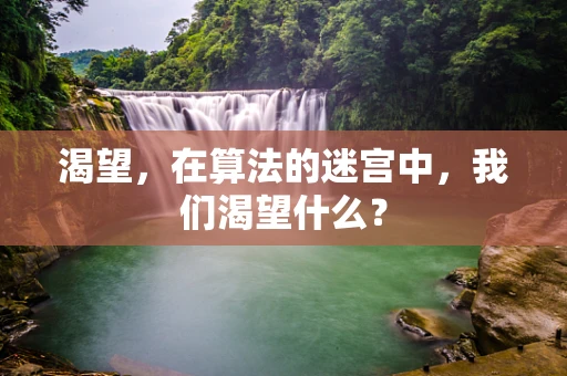 渴望，在算法的迷宫中，我们渴望什么？