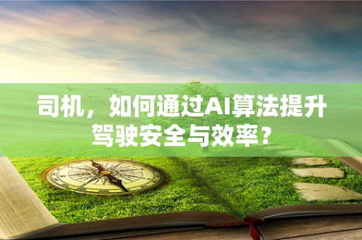 司机，如何通过AI算法提升驾驶安全与效率？