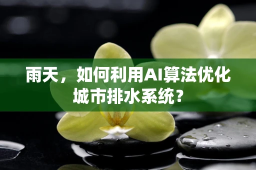 雨天，如何利用AI算法优化城市排水系统？