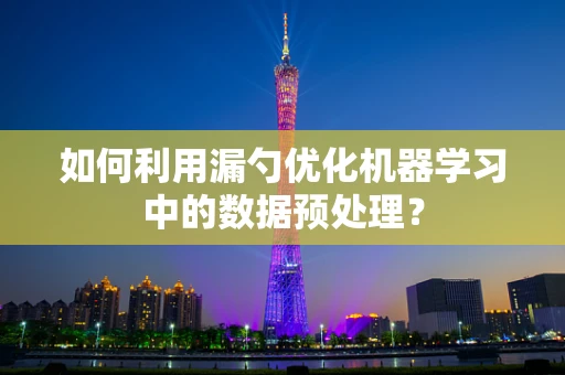 如何利用漏勺优化机器学习中的数据预处理？