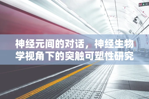 神经元间的对话，神经生物学视角下的突触可塑性研究