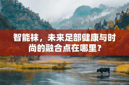 智能袜，未来足部健康与时尚的融合点在哪里？