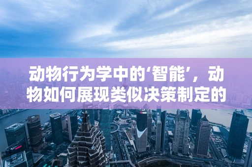 动物行为学中的‘智能’，动物如何展现类似决策制定的能力？