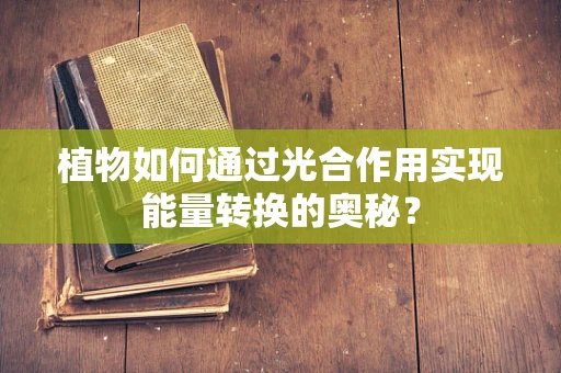 植物如何通过光合作用实现能量转换的奥秘？