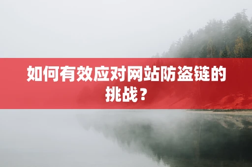 如何有效应对网站防盗链的挑战？