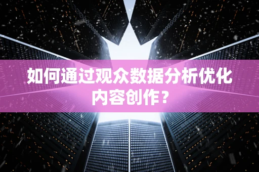 如何通过观众数据分析优化内容创作？