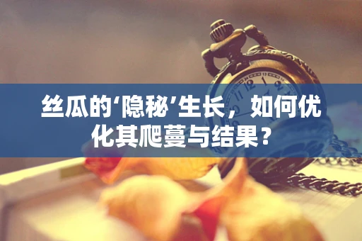 丝瓜的‘隐秘’生长，如何优化其爬蔓与结果？