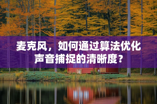 麦克风，如何通过算法优化声音捕捉的清晰度？