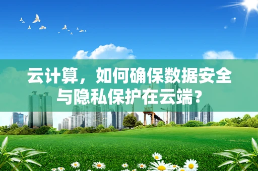 云计算，如何确保数据安全与隐私保护在云端？