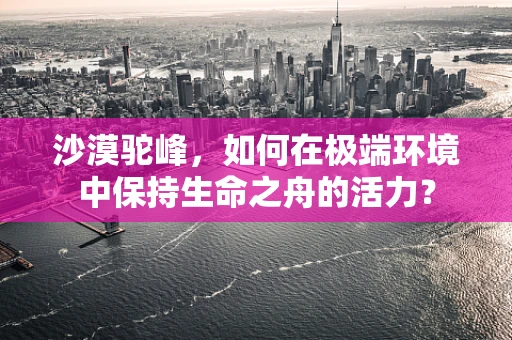 沙漠驼峰，如何在极端环境中保持生命之舟的活力？
