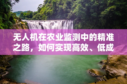 无人机在农业监测中的精准之路，如何实现高效、低成本的作物监测？
