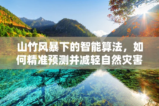 山竹风暴下的智能算法，如何精准预测并减轻自然灾害的影响？