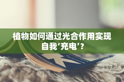 植物如何通过光合作用实现自我‘充电’？