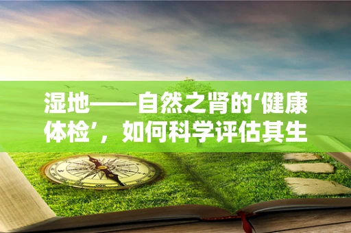 湿地——自然之肾的‘健康体检’，如何科学评估其生态价值与保护措施？