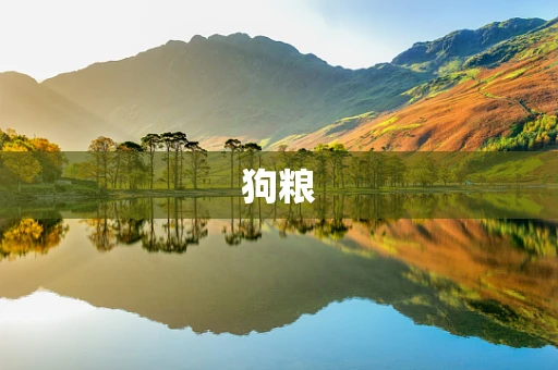 狗粮