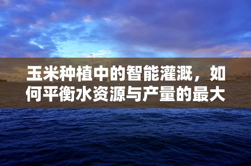 玉米种植中的智能灌溉，如何平衡水资源与产量的最大化？
