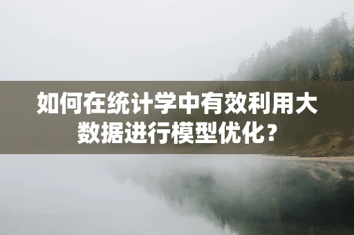 如何在统计学中有效利用大数据进行模型优化？