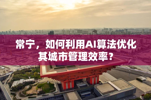 常宁，如何利用AI算法优化其城市管理效率？