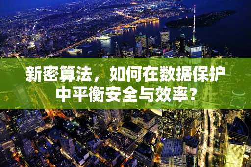 新密算法，如何在数据保护中平衡安全与效率？