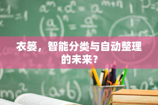 衣篓，智能分类与自动整理的未来？