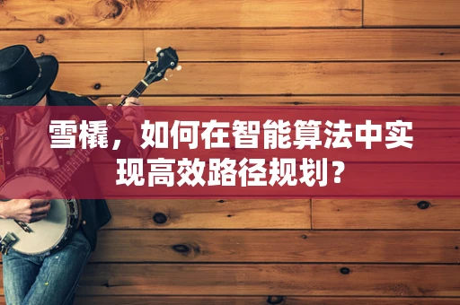 雪橇，如何在智能算法中实现高效路径规划？