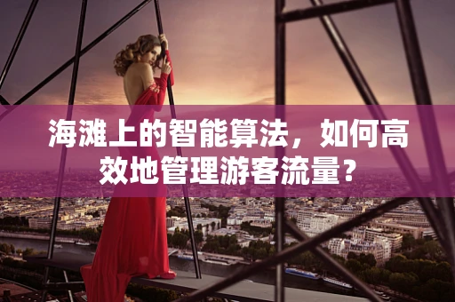 海滩上的智能算法，如何高效地管理游客流量？