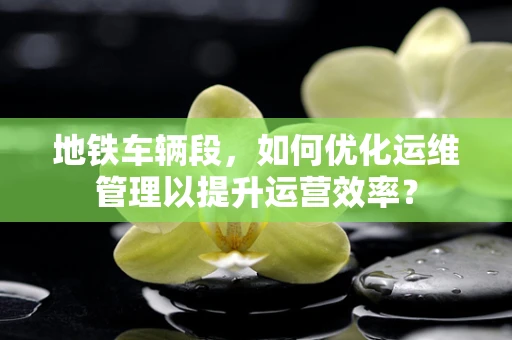 地铁车辆段，如何优化运维管理以提升运营效率？
