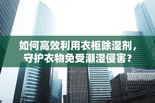 如何高效利用衣柜除湿剂，守护衣物免受潮湿侵害？