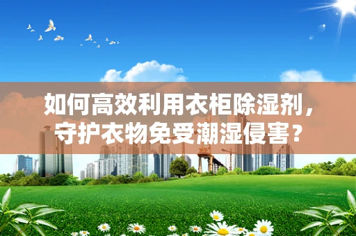 如何高效利用衣柜除湿剂，守护衣物免受潮湿侵害？