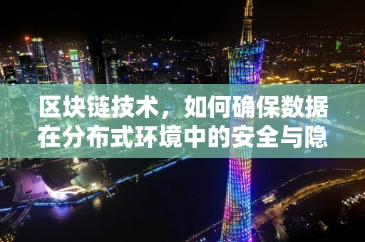区块链技术，如何确保数据在分布式环境中的安全与隐私？