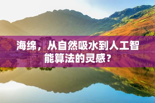 海绵，从自然吸水到人工智能算法的灵感？