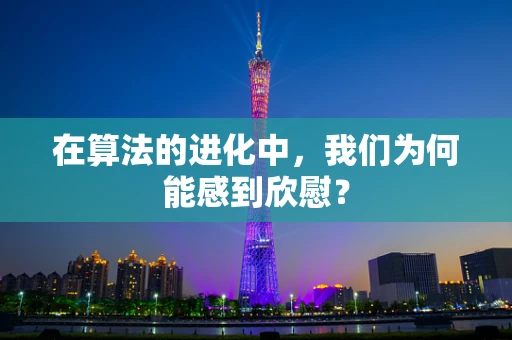 在算法的进化中，我们为何能感到欣慰？