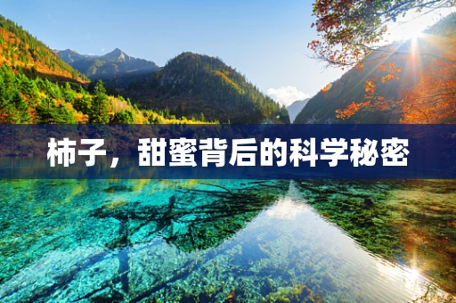 柿子，甜蜜背后的科学秘密