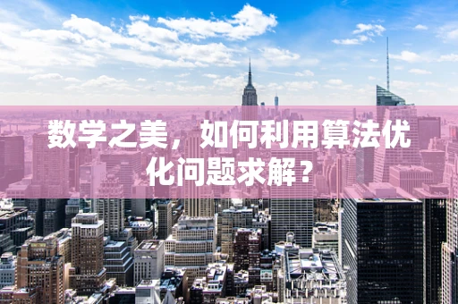 数学之美，如何利用算法优化问题求解？