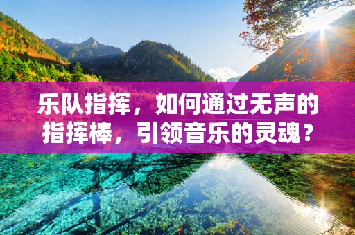 乐队指挥，如何通过无声的指挥棒，引领音乐的灵魂？