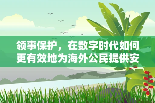 领事保护，在数字时代如何更有效地为海外公民提供安全保障？