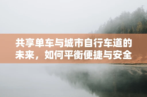 共享单车与城市自行车道的未来，如何平衡便捷与安全？
