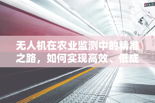 无人机在农业监测中的精准之路，如何实现高效、低成本的作物监测？