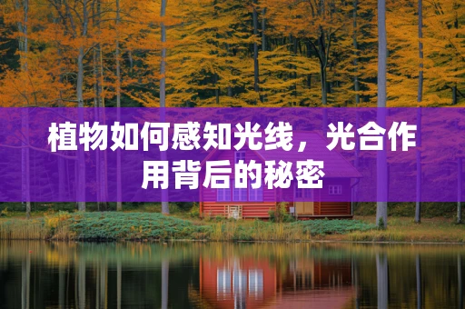 植物如何感知光线，光合作用背后的秘密