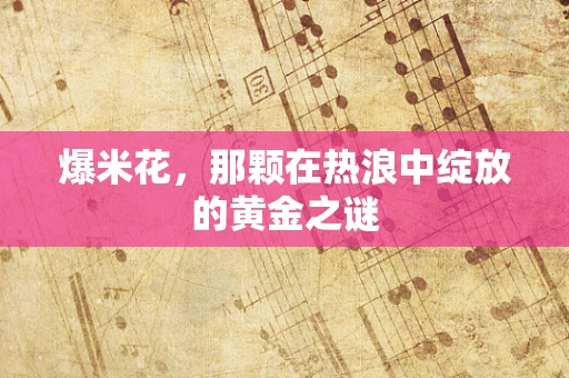 爆米花，那颗在热浪中绽放的黄金之谜