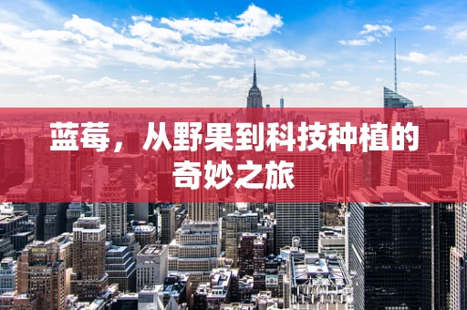 蓝莓，从野果到科技种植的奇妙之旅