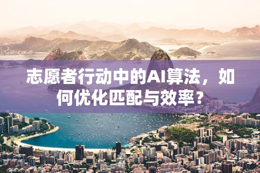 志愿者行动中的AI算法，如何优化匹配与效率？
