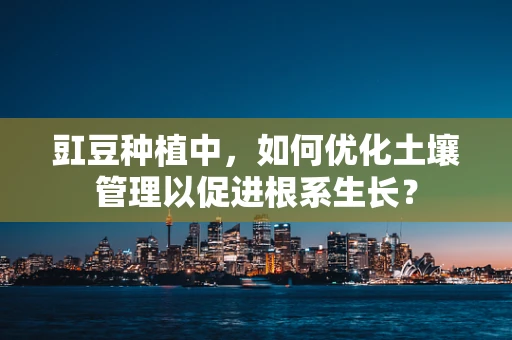 豇豆种植中，如何优化土壤管理以促进根系生长？